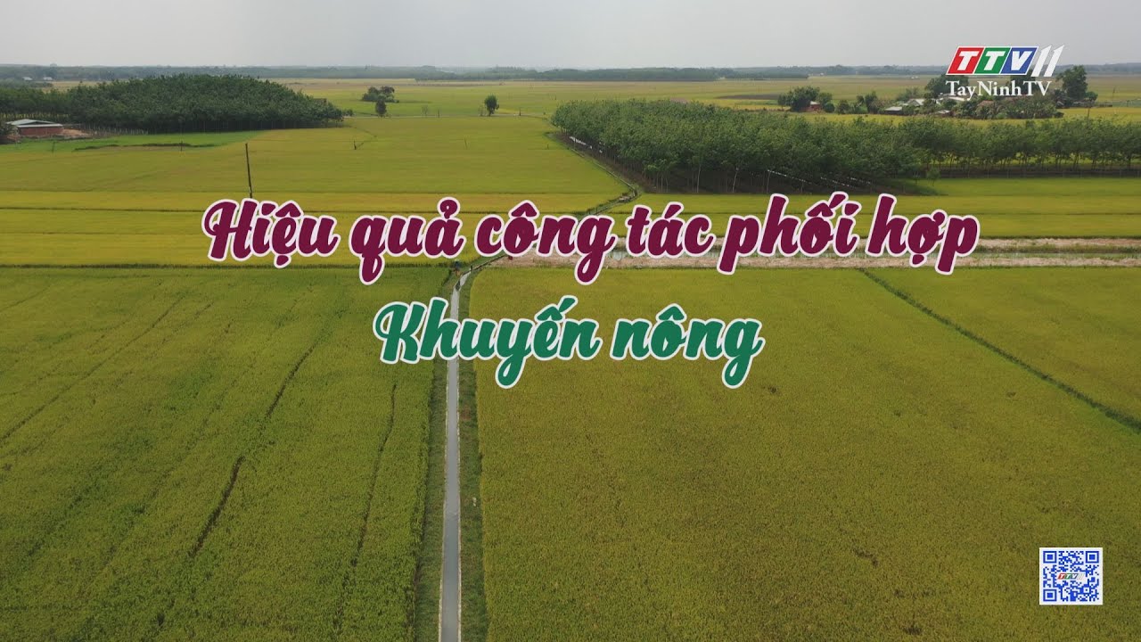 Hiệu quả công tác phối hợp Khuyến nông | Nông nghiệp Tây Ninh | TayNinhTV